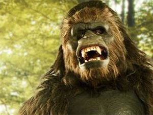 Sen Sağ Ben Selamet - Adam Meir - Goril Kingo Behlül Kimdir?