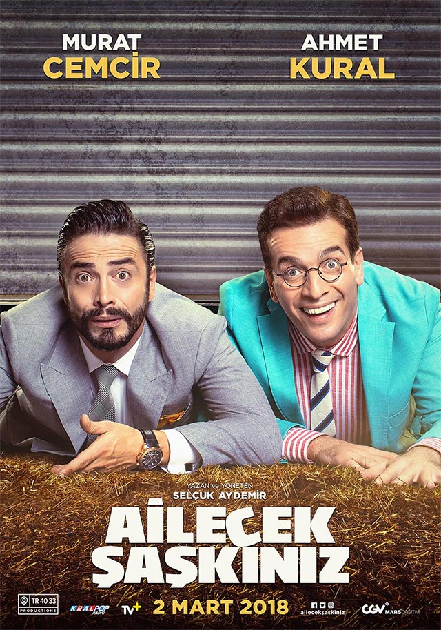 Ailecek Şaşkınız Afişi, Afişleri, Afiş ve Poster Resimleri-2